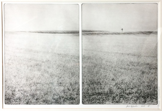 Windmill in Spring, a photogravure diptych